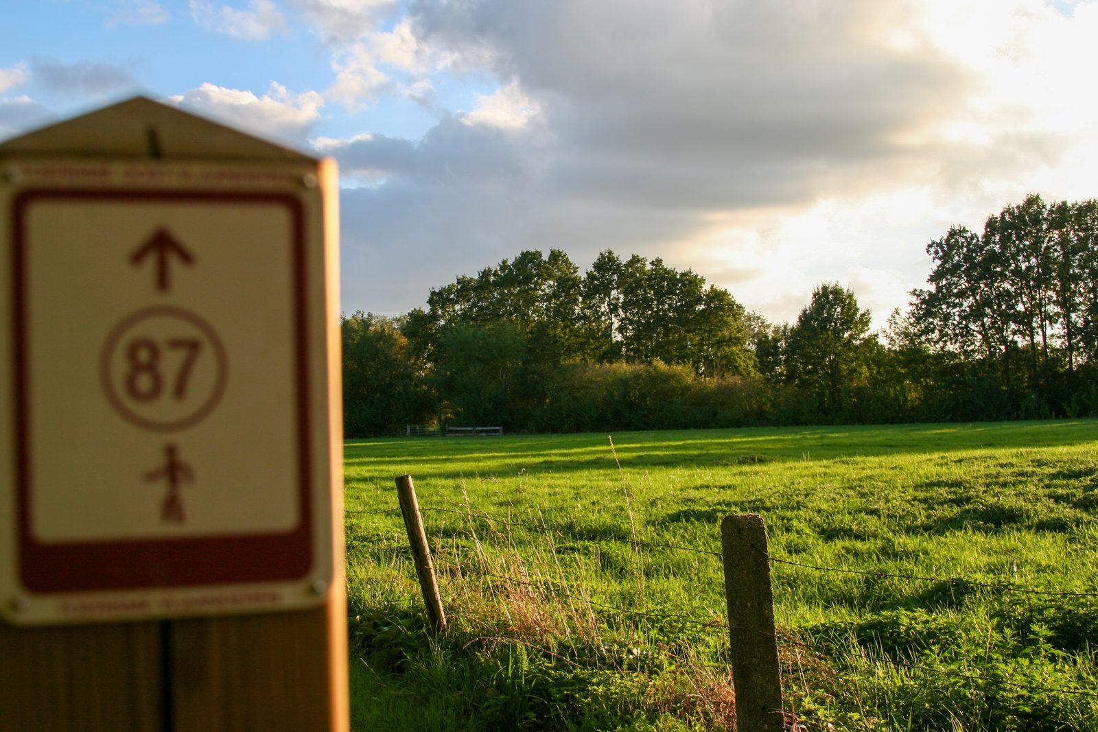 Wandelknooppunt 87 in het landschap